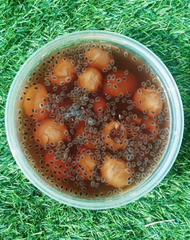 Agar2 Fruits with Chia Seeds - Image 5