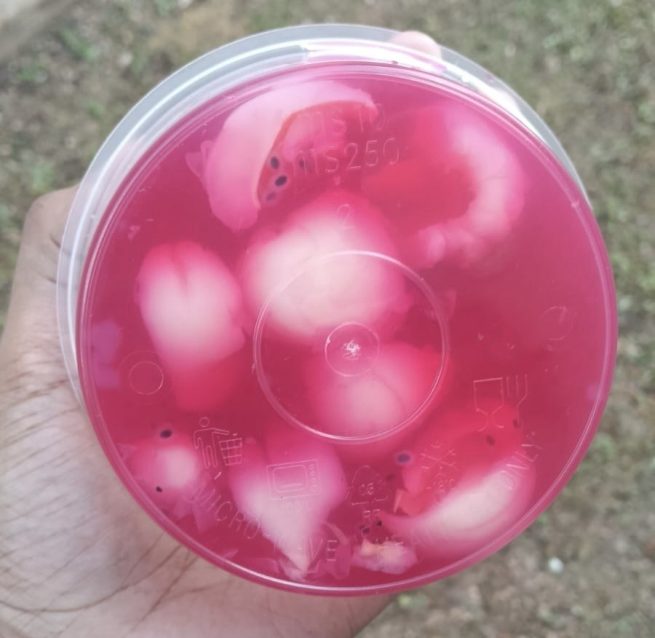 Agar2 Fruits with Chia Seeds - Image 3