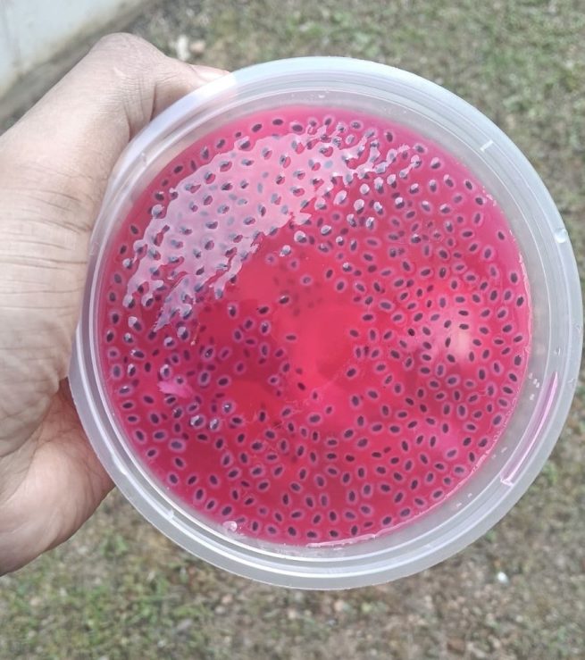 Agar2 Fruits with Chia Seeds - Image 2