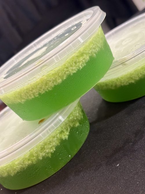 *NEW* Agar2 Gudil Pandan